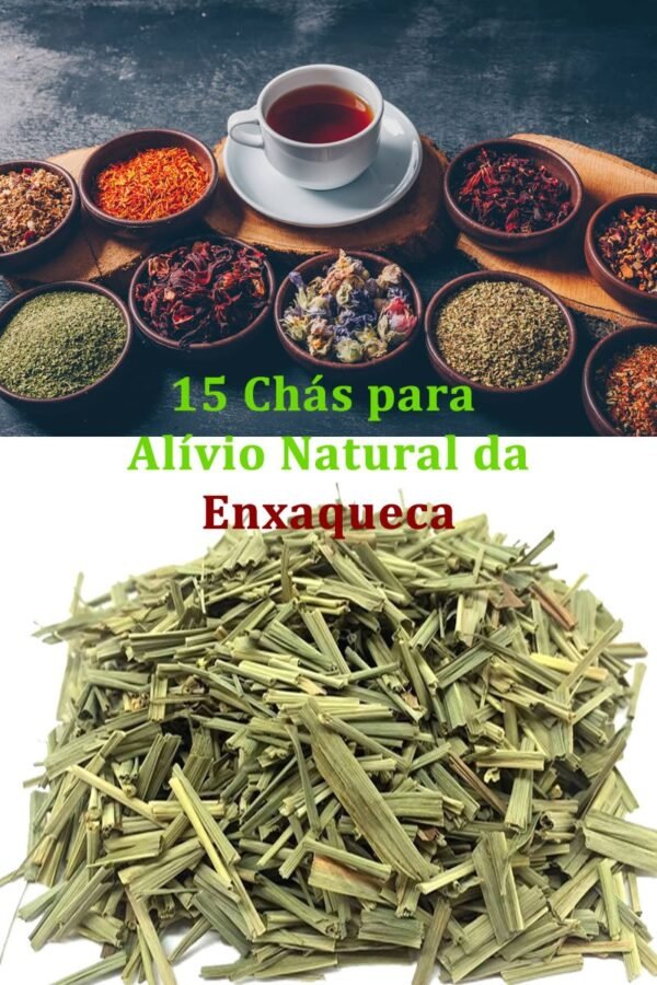 PLR Ebook Enxaqueca - Image 3