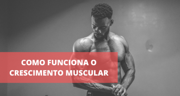 Ebook PLR Mantendo a Forma em Casa - Image 2