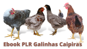 Ebook PLR Galinhas Caipiras