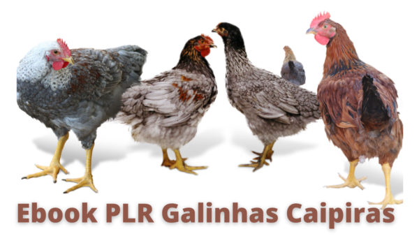 Ebook PLR Galinhas Caipiras