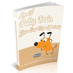 Como Treinar seu cão de forma mais eficaz