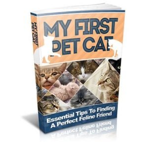 Meu primeiro gato de estimação