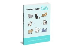 Pelo amor dos gatos