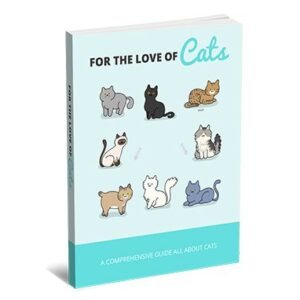 Pelo amor dos gatos