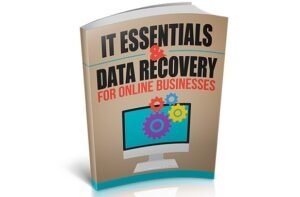 Fundamentos de TI e recuperação de dados para empresas on-line