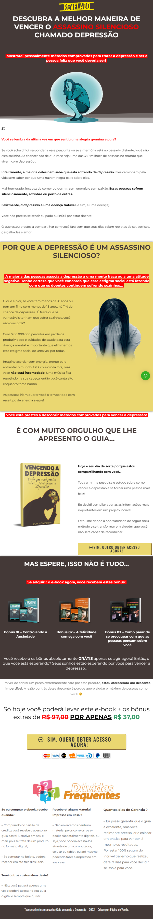 Ebook PLR Vencendo a Depressão - Image 4
